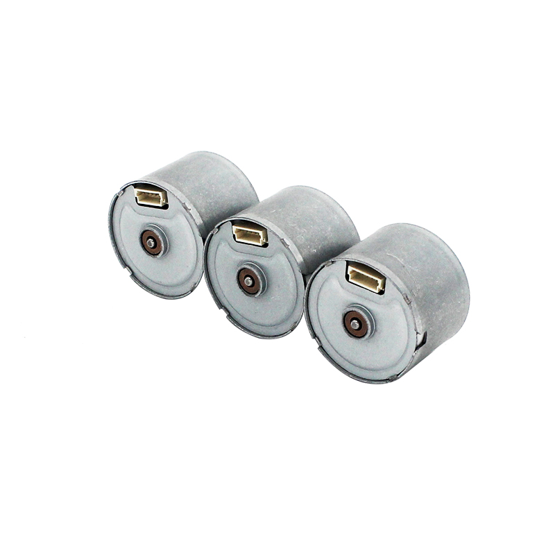 Avtomat üçün 24 mm Fırçasız DC Motor