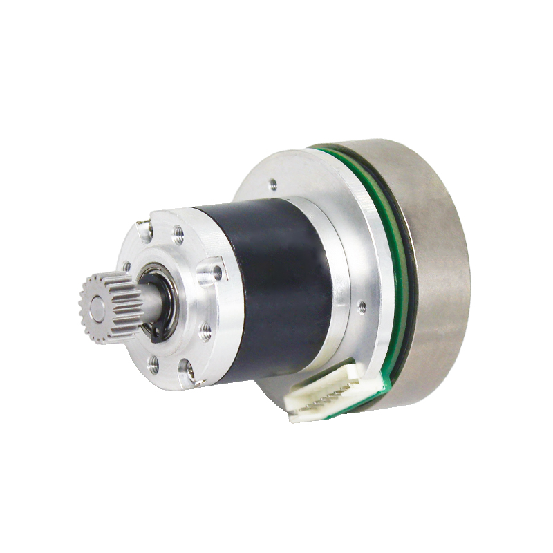 BL4316 Xarici Rotor 28mm fırçalama Cədvəlli Motor
